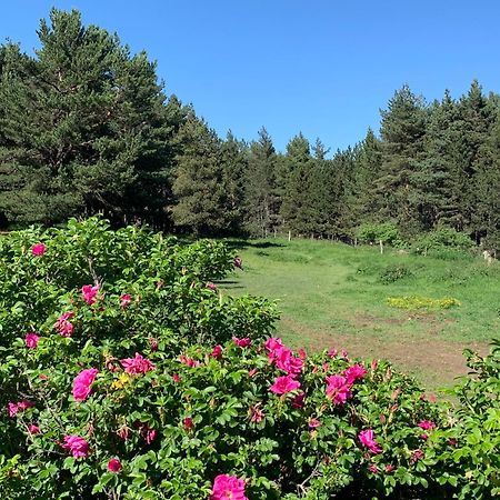 Gite Ranch Le Serpolet Les Angles  Kültér fotó