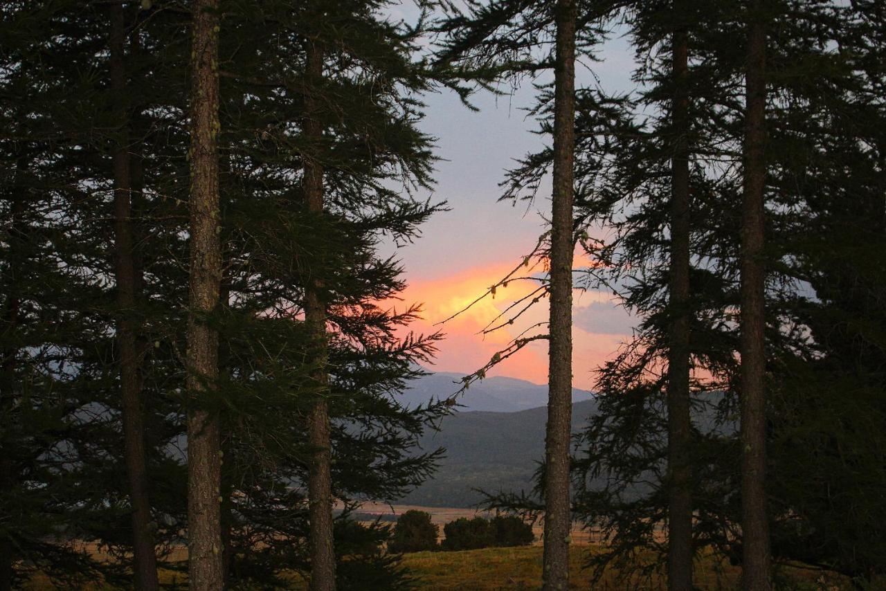 Gite Ranch Le Serpolet Les Angles  Kültér fotó