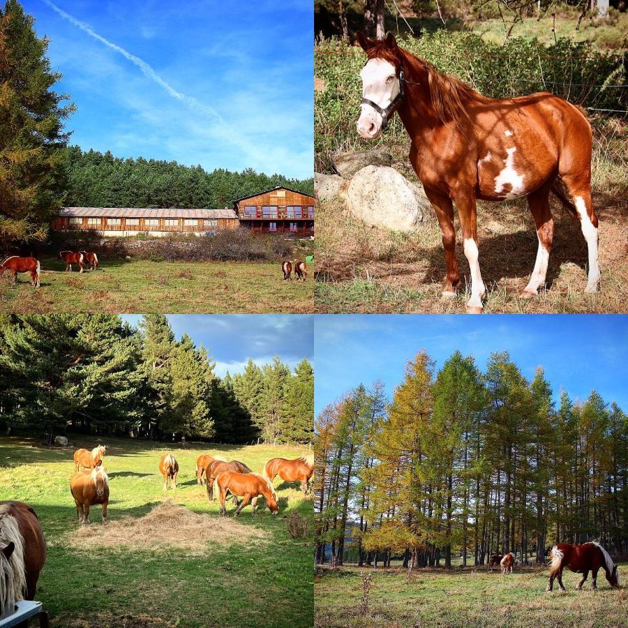 Gite Ranch Le Serpolet Les Angles  Kültér fotó