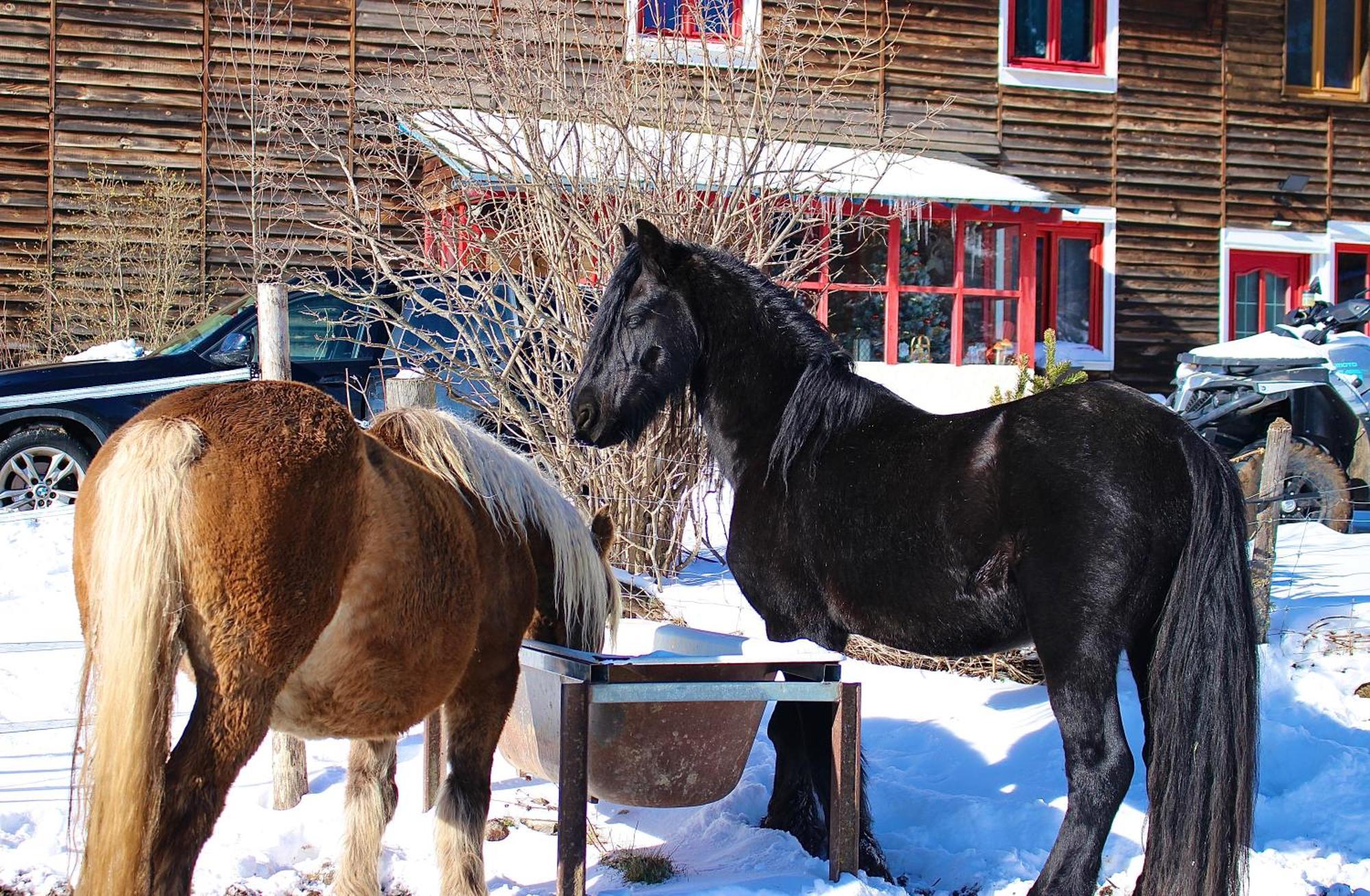 Gite Ranch Le Serpolet Les Angles  Kültér fotó