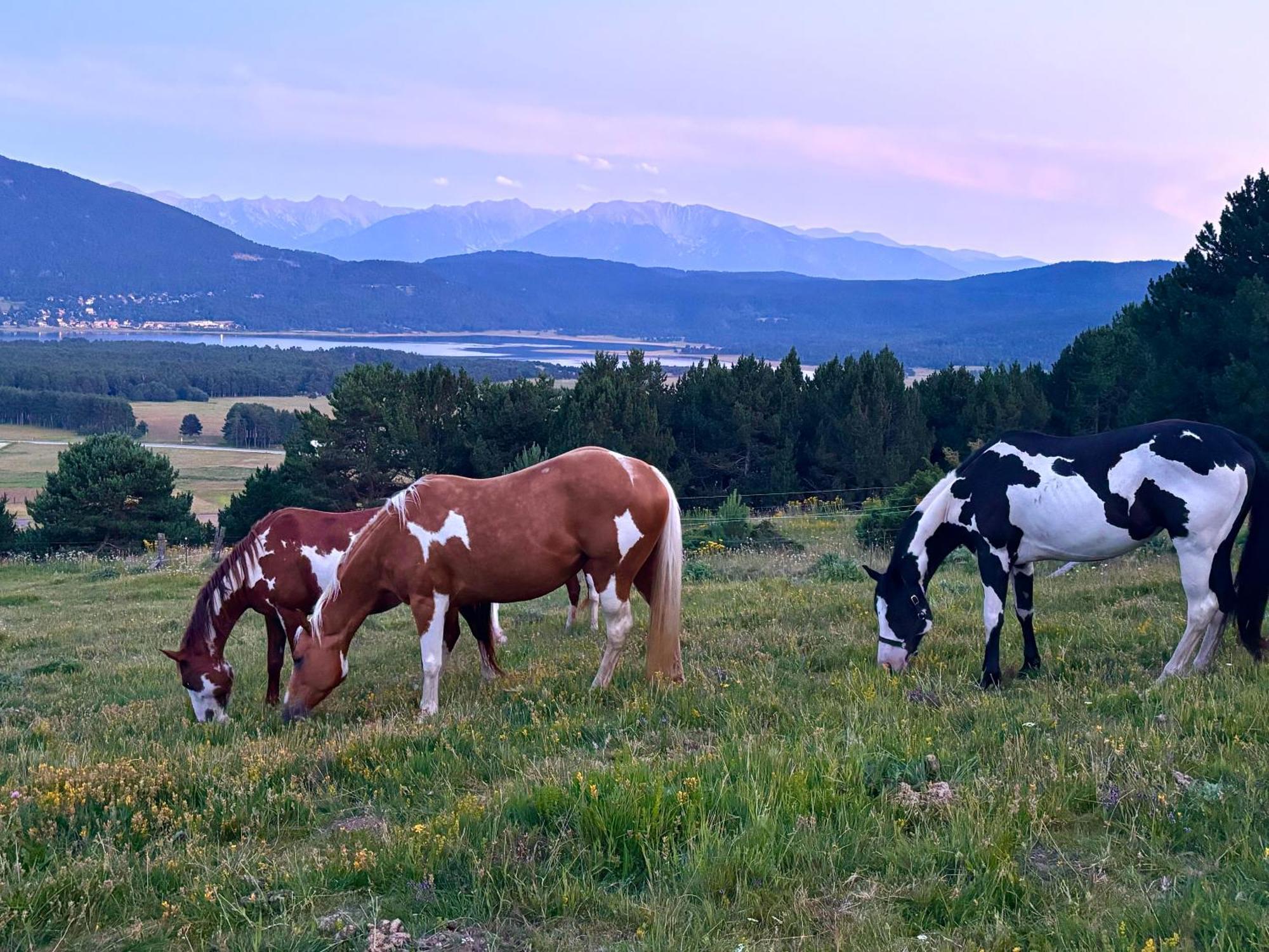 Gite Ranch Le Serpolet Les Angles  Kültér fotó